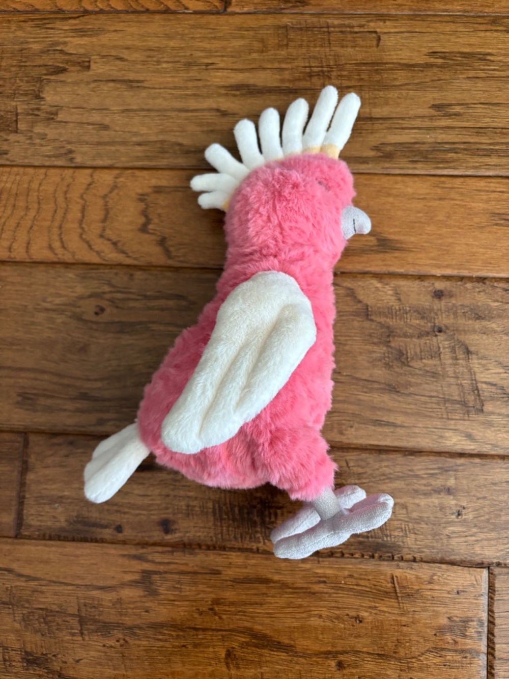 Jellycat Squawkatoo - Picture 6 of 11